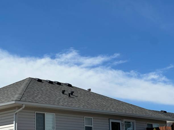 Best Roof Maintenance and Cleaning  in Greenwood Village, CO